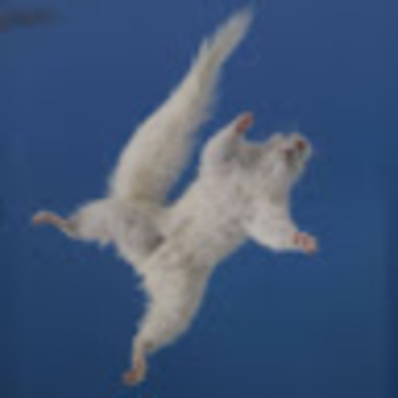 Meet your Posher, Hilary - Picture 1 of 1